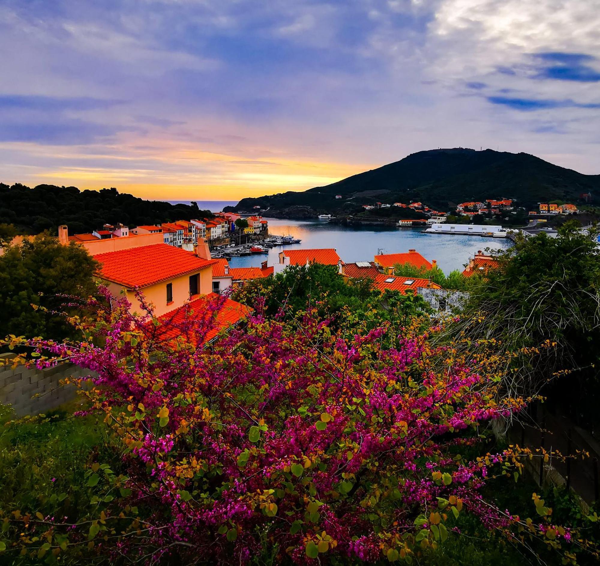 1Br Apartment T2 54M2 Onde Marine 2Nd Floor Lift Wifi Ac Parking Port Vendres Esterno foto